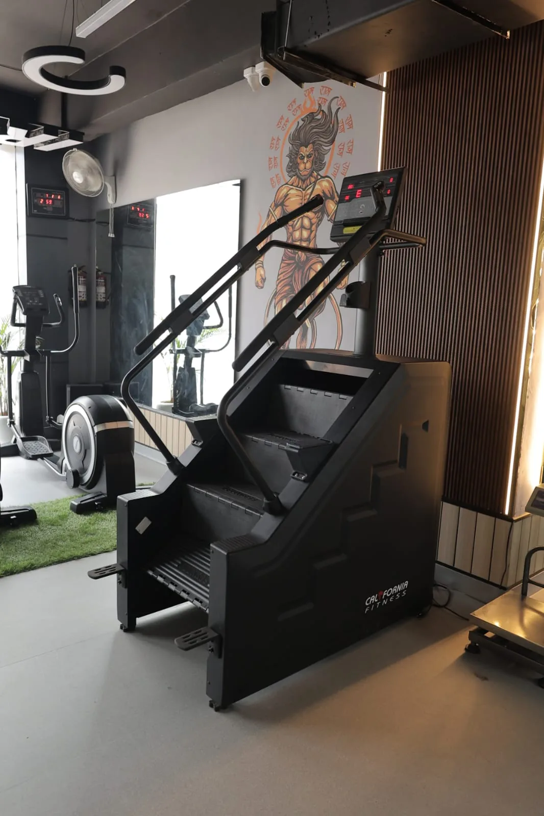 Stairmaster climber in the cardio zone